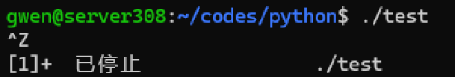image-20241229105326602